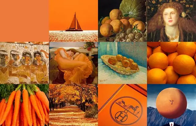 Color Orange: Which Came First, the Fruit or the Color?